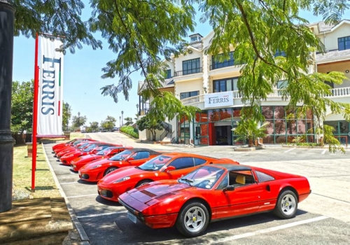Ferris Cars